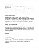 PERSONAJE: Andrés un chico de 11 años, tímido, le gustaba leer mucho, especialmente libros de mitología.