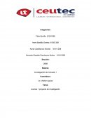 Avance Proyecto Investigacion de Mercado