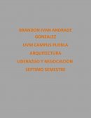 LAS CAUSAS O FUENTES DEL CONFLICTO