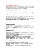 Mecanismos de defensa. Mecanismos Narcisistas