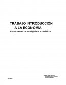 Componentes de los objetivos económicos