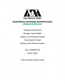 Introducción al muestreo en el bentos marino y mantenimiento de organismos fijados.