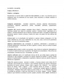 La reaction y sus partes