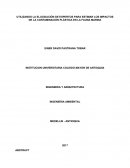UTILIZANDO LA ELUCIDACIÓN DE EXPERTOS PARA ESTIMAR LOS IMPACTOS DE LA CONTAMINACIÓN PLÁSTICA EN LA FAUNA MARINA