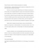 Pareja de Erasmus Leyendo los testimonios que aparecen en su reportaje