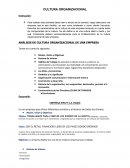 ANÁLISIS DE CULTURA ORGANIZACIONAL DE UNA EMPRESA