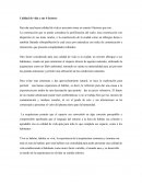 Calidad de vida y sus 4 factores