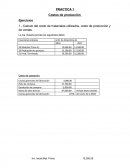 PRACTICA Costos de producción