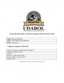 FICHA DE IDENTIFICACIÓN DE TRABAJO DE INVESTIGACIÓN