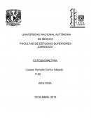 Práctica de estequiometría