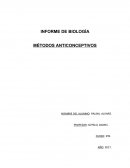 Informe Métodos Anti conceptivos