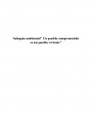 Propuesta final de investigacion