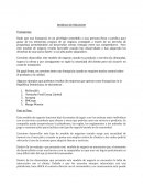 ESTRATEGIA DE MODELO DE NEGOCIO