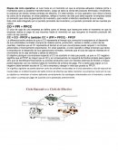 Administracion del efectivo trabajo