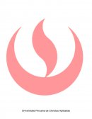 MARCO TEÓRICO DE PAPEL Y PAPEL ESTUCADO