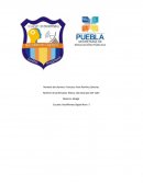 Morfología y fisiología en vegetales y animales superiores