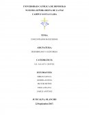 CONCENTRADOS MAXICERDOS DESEMBOLSOS Y AUDITORIAS.