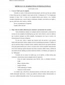 MÓDULO 18: MARKETING INTERNACIONAL