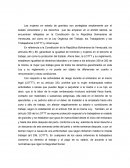 Ensayo Gravidez y el salario en venezuela