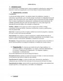 Planeacion estrategica Análisis Interno