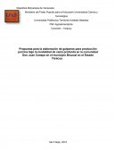 Propuesta para la elaboración de galpones para producción porcina bajo la modalidad de cama profunda en la comunidad Don Juan Canepe en el municipio Bruzual en el Estado Yaracuy.