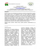 Informe de reactivo limite