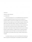 Justificación y objetivos del proyecto