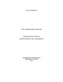 COMPORTAMIENTO DEL CONSUMIDOR TALLER