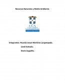 Recursos Naturales y Medio Ambiente.
