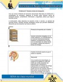 Evidencia 6: Factores claves de transporte