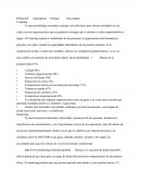 Definición sobre la Importancia de las mejores Ventajas y las grandes Desventajas