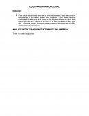 ANÁLISIS DE CULTURA ORGANIZACIONAL DE UNA EMPRESA