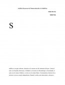 El nuevo Proceso de Democratización de Sudáfrica