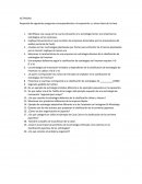 Actividad final Las estrategias de innovación imitativa