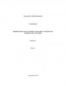 CUALES SON LOS DIARIOS ESPECIALES, MAYORES AUXILIARES Y SISTEMAS DE INFORMACIÓN CONTABLE