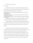 Respiración en la flauta dulce TÉCNICA DE LA FLAUTA DULCE