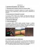 Catapulta Naturaleza de la empresa y sector en el que se ubica