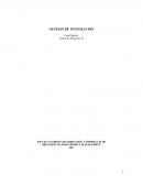 ¿Cuáles son las razones por las que cree usted, desde el punto de vista de la integración, que se han producido esos malentendidos entre negocio y TI?