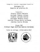 El nueva Práctica de laboratorio: Yogurth