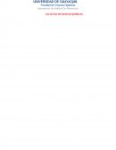 Determinación sólidos totales