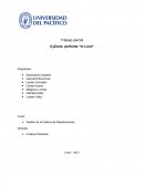 Trabajo parcial CyZone: perfume “In Love”