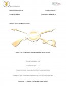 FUNDAMENTOS ESTRUCTURALES DEL ESTADO