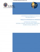 Producto integrador de aprendizaje