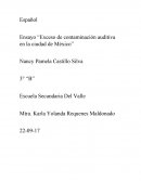 Exceso de contaminación auditiva