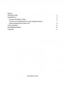 EL NUEVO SOCIALISMO SOGLO XXI