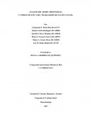 ANÁLISIS DEL PERFIL PROFESIONAL Y CÓDIGO DE ÉTICA DEL TRABAJADOR SOCIAL DE PANAMÁ