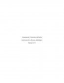 Organización y Dirección de Servicios Administración de Recursos Informáticos