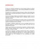 Empresa elaboradora de quesos