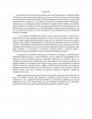 Los polímeros son macromoléculas formadas por la unión de monómeros