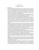 Proyecto de vida Caminando hacia el éxito